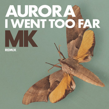 Aurora - I Went Too Far (MK Remix)