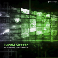 Harold Sleeper - Momentary Permanence