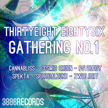 Various Artists - Thirtyeight Eightysix Gathering No.1