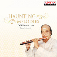 Dr. N. Ramani - Haunting Melodies