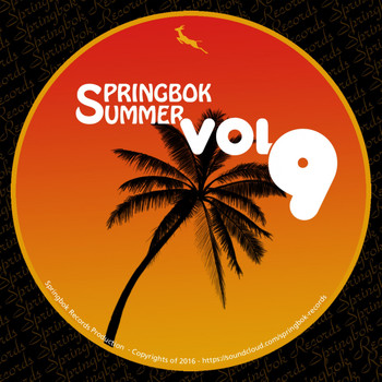 Springbok - Springbok Summer Compilation, Vol. 9