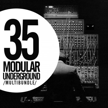 Various Artists - 30 Modular Underground Multibundle