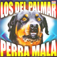 Los Del Palmar - Perra Mala