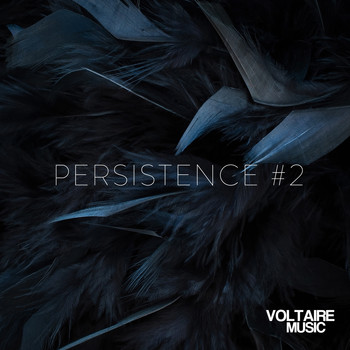 Various Artists - Voltaire Music Pres. Persistence #2