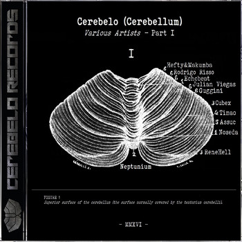 Various Artists - Cerebelo, Vol. 1 (Cerebellum)