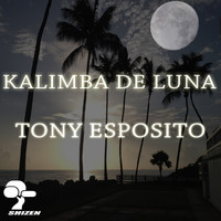 Tony Esposito - Kalimba de Luna