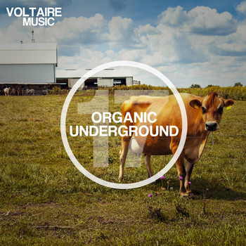 Various Artists - Organic Underground Issue 17