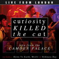 Curiosity Killed The Cat - Live from London (Live)