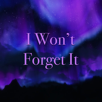 Various Artists - I Won't Forget It