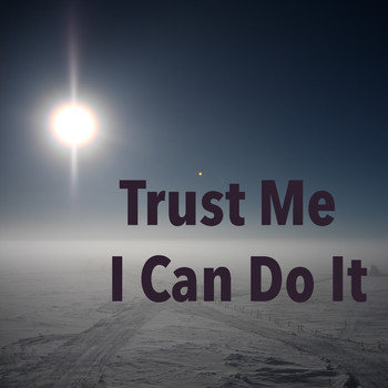 Various Artists - Trust Me I Can So It