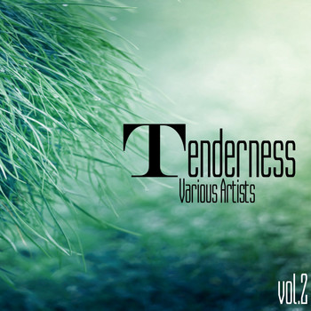 Various Artists - Tenderness, Vol. 2