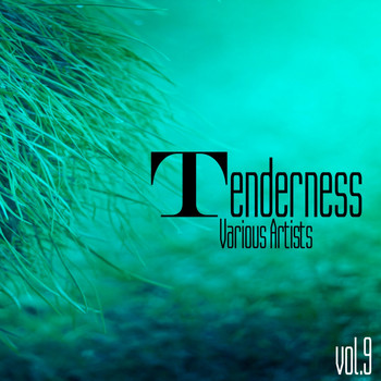 Various Artists - Tenderness, Vol. 9
