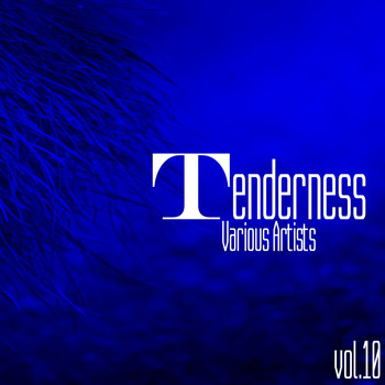 Various Artists - Tenderness, Vol. 11
