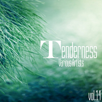 Various Artists - Tenderness, Vol. 14