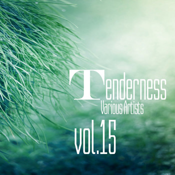 Various Artists - Tenderness, Vol. 15