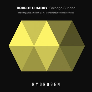 Robert R. Hardy - Chicago Sunrise