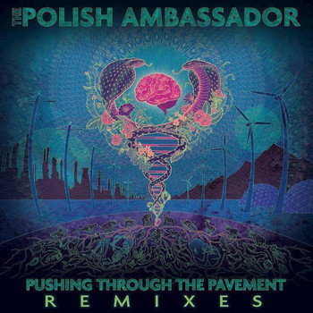 The Polish Ambassador - Pushing Through the Pavement (Remixes)