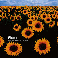 Slum - Sunflowers of Today