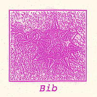 Bib - Demo
