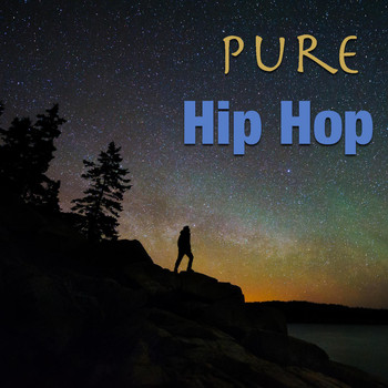 Various Artists - Pure Hip Hop