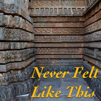 Various Artists - Never Felt Like This (Explicit)