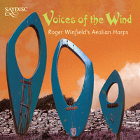 Roger Winfield - Voices of the Wind