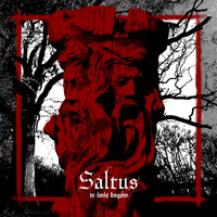 Saltus - W Imię Bogów