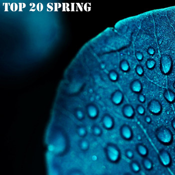 Various Artists - Top 20 Spring