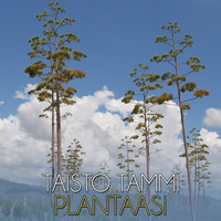 Taisto Tammi - Plantaasi