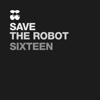 Save The Robot - Sixteen