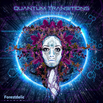 Various Artists - Quantum Transitions