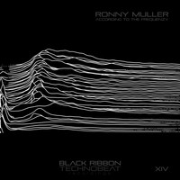 Ronny Muller - According To The Frequenzy