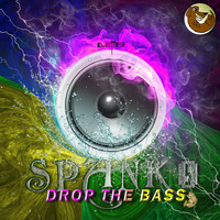 Spank0 - Drop That Bass (Explicit)