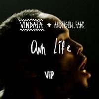 Vindata - Own Life (feat. Anderson .Paak) (VIP Mix [Explicit])