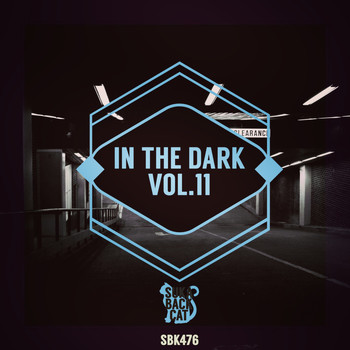 Various Artists - In the Dark, Vol. 11