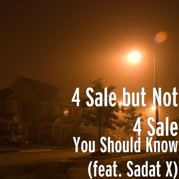 Sadat X - You Should Know (feat. Sadat X)