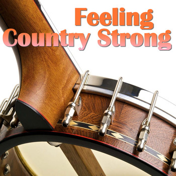 Various Artists - Feeling Country Strong