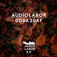 Audiolabor - 0D0A20AF