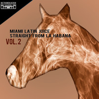Miami Latin Juice - Straight from La Habana, Vol. 2