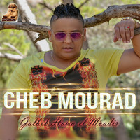 Cheb Mourad - Galbek Howa El Moudir