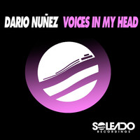 Dario Nunez - Voices in My Head