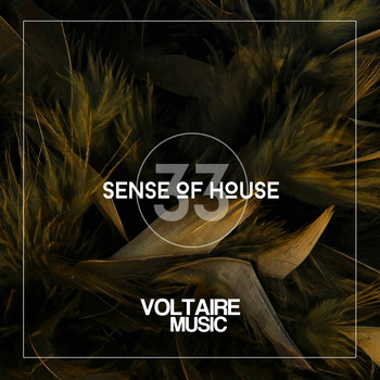 Various Artists - Sense of House, Vol. 33