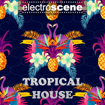 DJ Light - Electroscene Tropical House