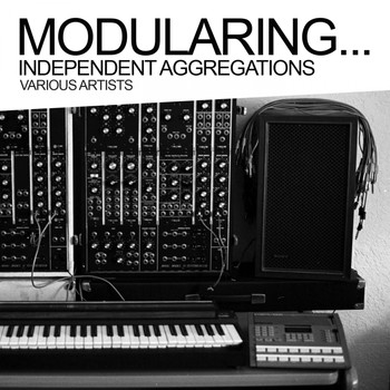 Various Artists - Modularing... Independent Aggregations