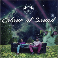 Waving Flags - Colour Of Sound