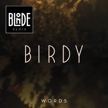 Birdy - Words (Blonde Remix)