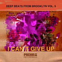 Peter Brown - Deep Beats from Brooklyn, Vol. 5