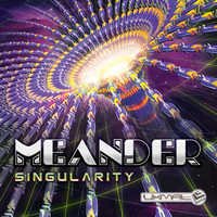 Meander - Singularity