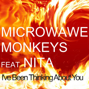 Microwave Monkeys feat. Nita - I've Been Thinking About You