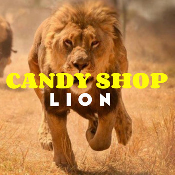 Candy Shop - Lion